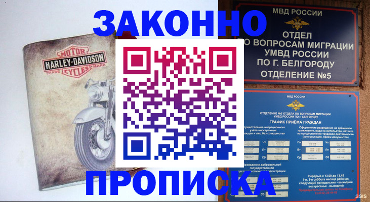 прописка для школы в Кузнецке